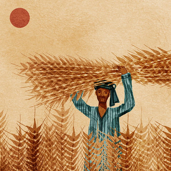 harvest