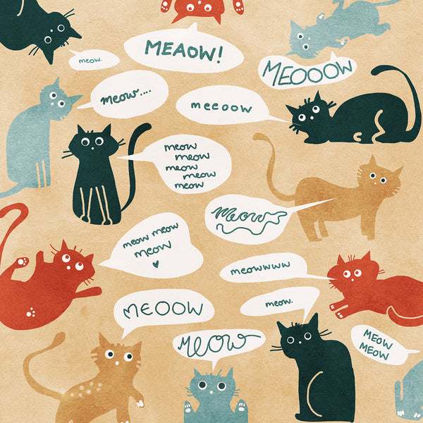 sound meow