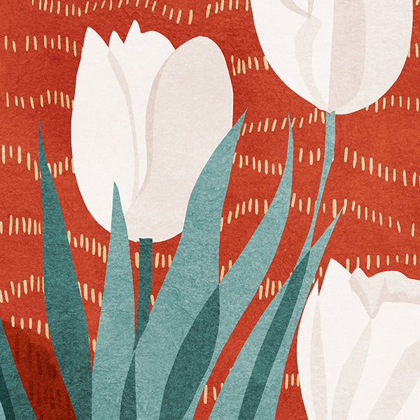 tulip